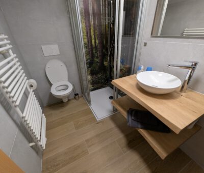 Bad mit Dusche und WC